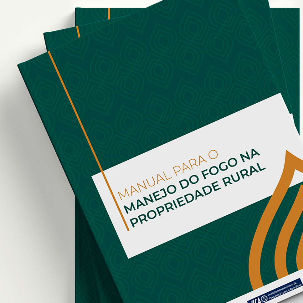 Exemplo de diagramação criada por Bruno S. Bastos